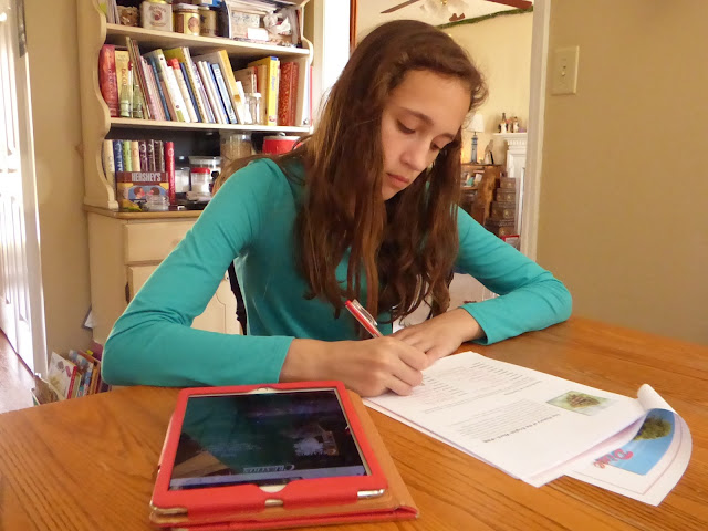 Grace-Filled Homeschooling: Snow Unit Study & Pine Trees from Creation