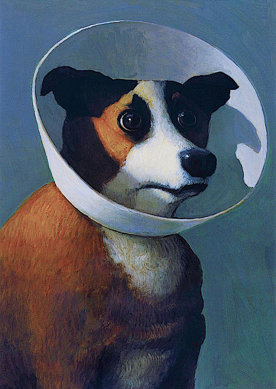 Michael Sowa Michael Sowa, a dog in a head cone