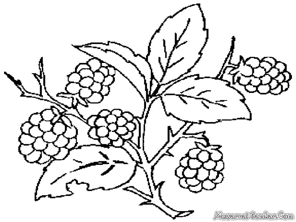 Gambar Mewarnai Pohon Besar