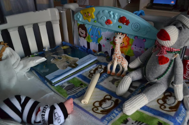 Joey Going Home Tomorrow And A Vibrator In His Bed Why Didn T