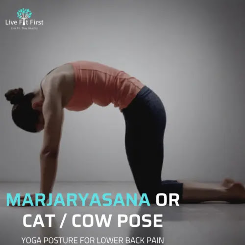 Marjaryasana Or Cat / Cow Pose | Yoga posture for lower back pain