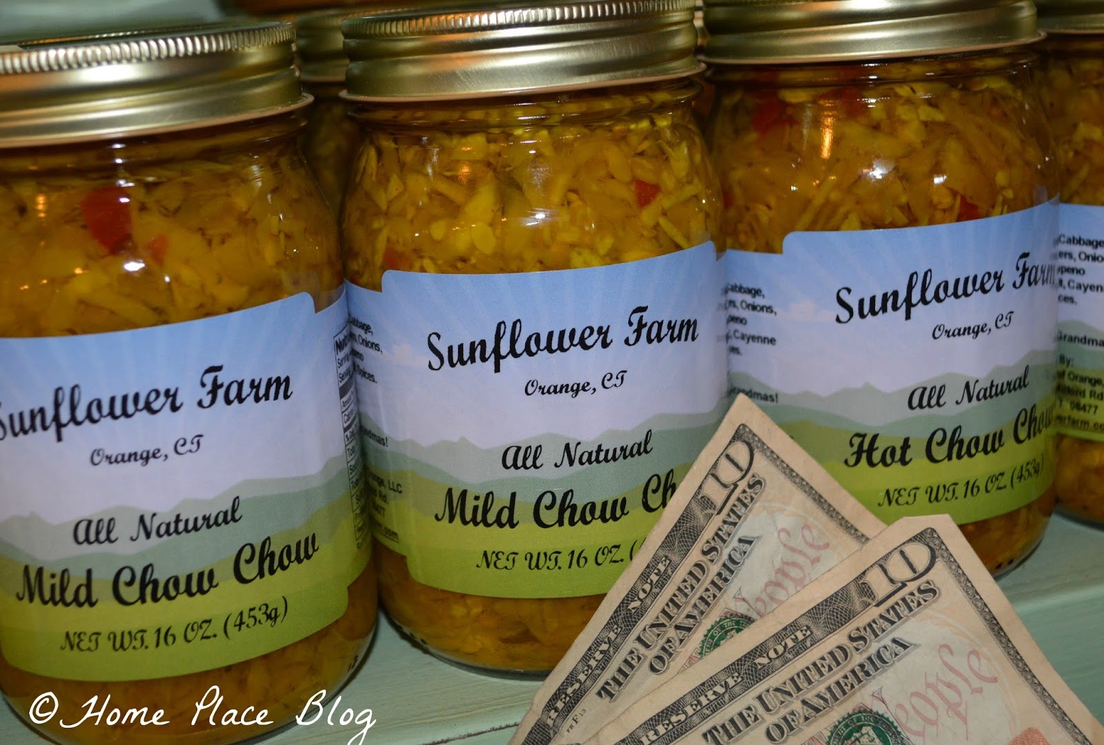 Home Place Cash Mob CT at Sunflower Farm in Orange CT