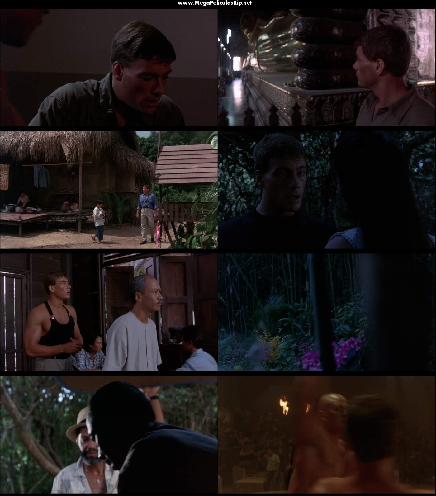 Kickboxer 1080p Latino