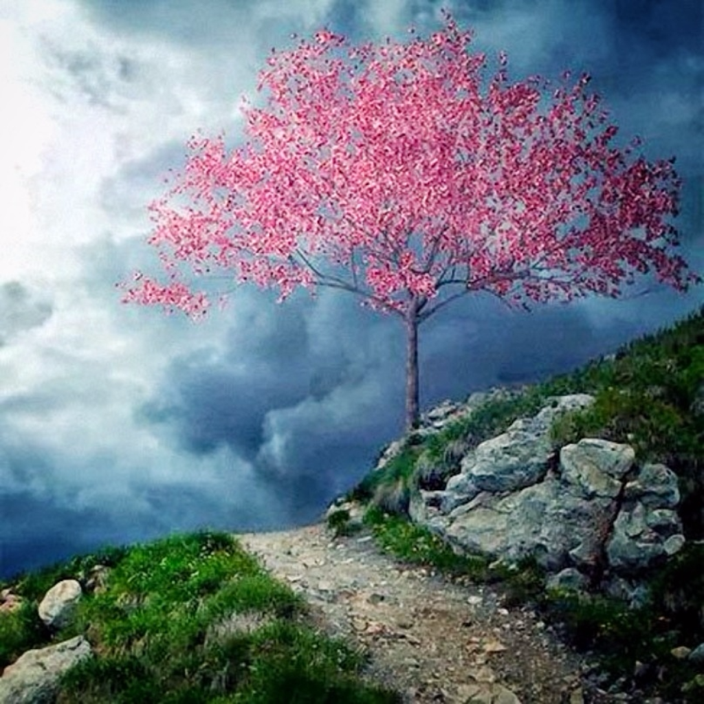 Alzheimer's Wandering Why it Happens and What to do Alzheimer's