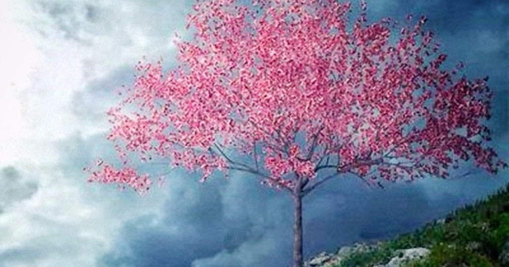 Alzheimer's Reading Room Alzheimer's Wandering Why it Happens and What