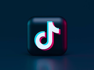 HOW TO EARN MONEY FROM TIK TOK