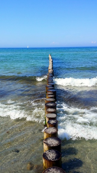 Ankes Garten August 2019