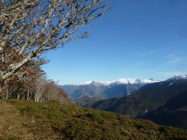 SOULAING, 1.589m (Esas tardes de otoño) P1200963%2B%2528FILEminimizer%2529