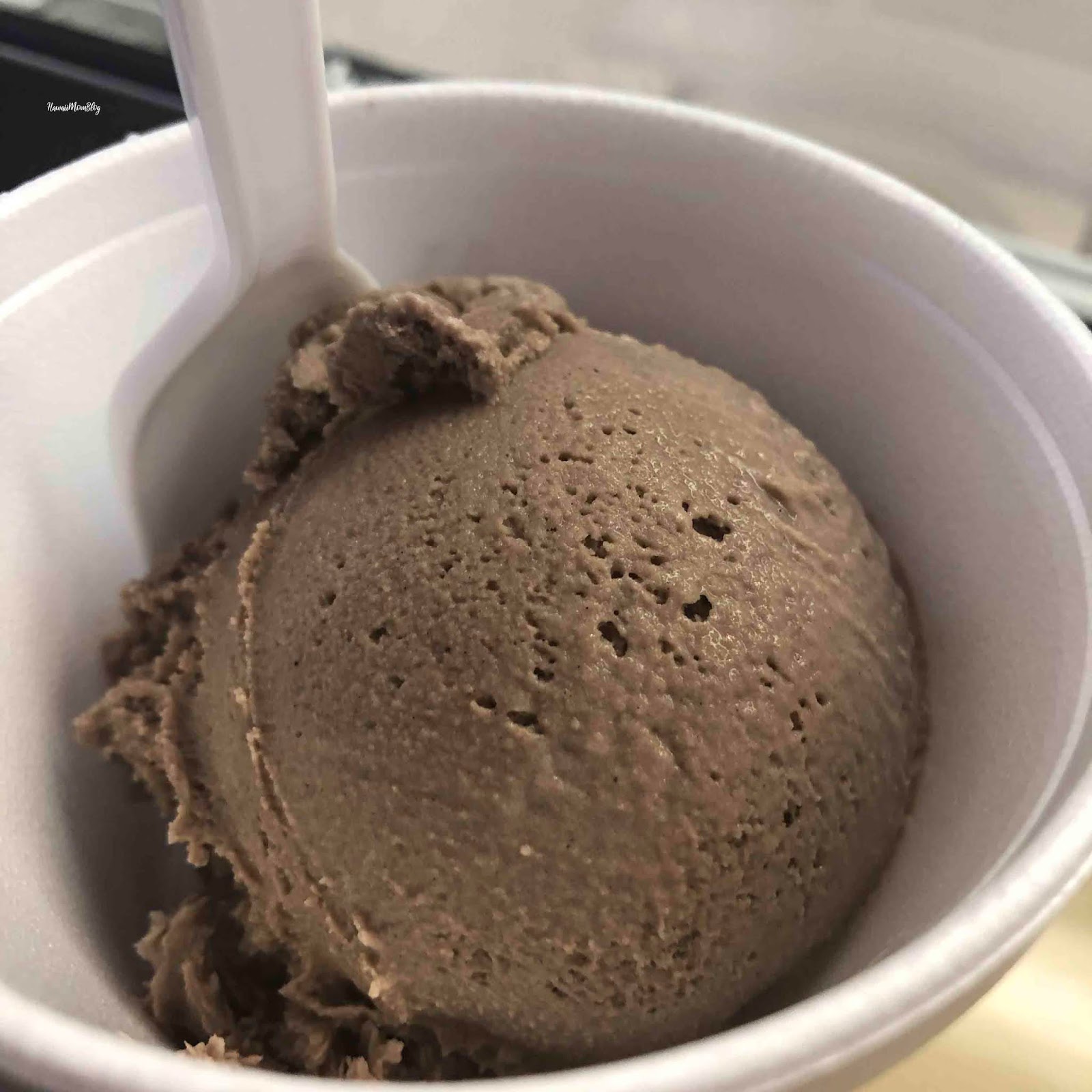 Hawaii Mom Blog Visit Kansas Sylas and Maddy's Homemade Ice Cream