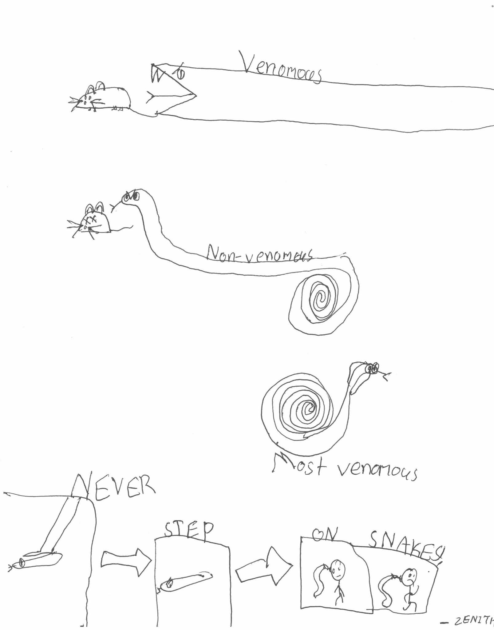 Creative writing of snake picture