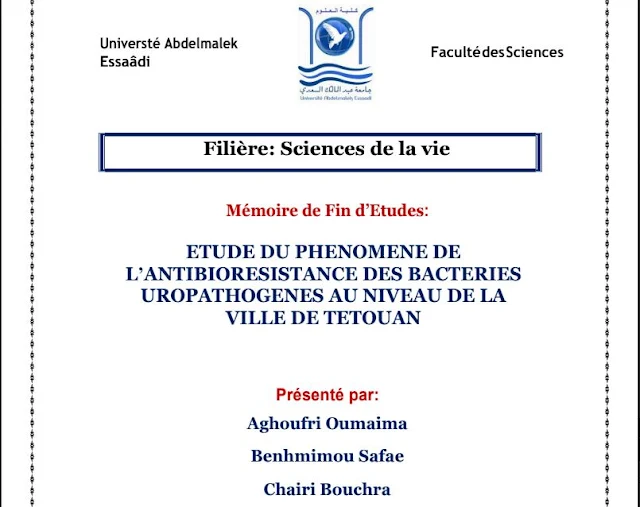 PFE : ETUDE DU PHENOMENE DE L’ANTIBIORESISTANCE DES BACTERIES UROPATHOGENES AU NIVEAU DE LA VILLE DE TETOUAN