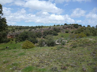 Entorno del Castro de Hocincavero