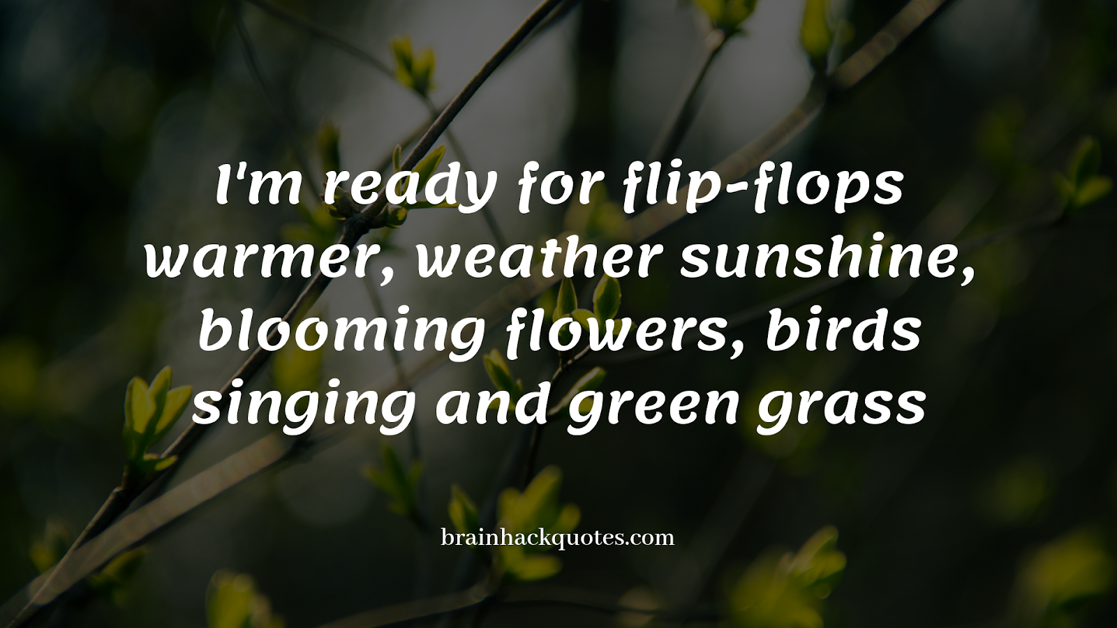 Spring Weather Quotes
