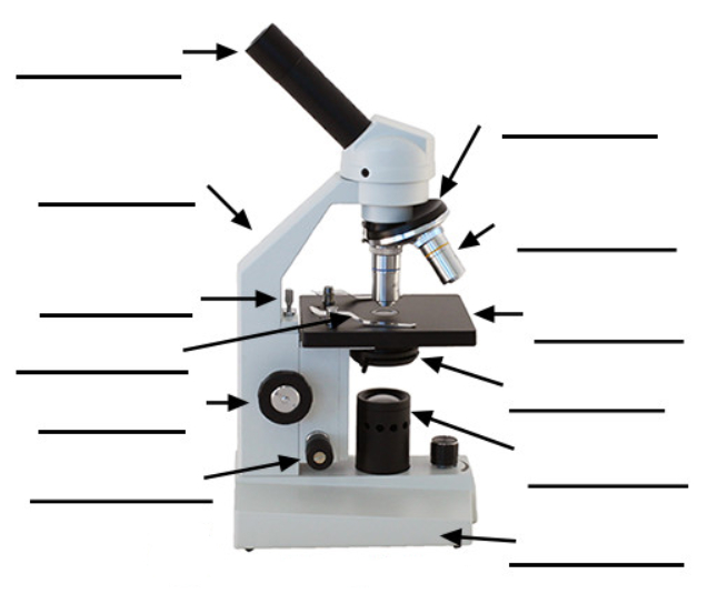 Parts of a Simple Microscope Labeled (with diagrams) Medical