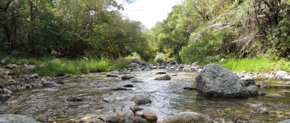 ARROYO DE PIEDRA BLANCA