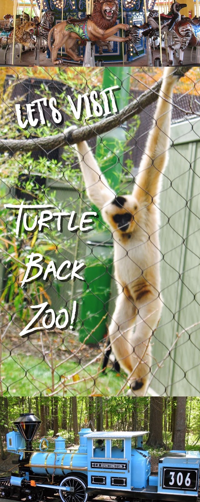 The Jersey Momma A Review of The Turtle Back Zoo Classic New Jersey