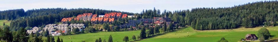 Ferienwohnung in Schonach im Schwarzwald mit Hallenbad