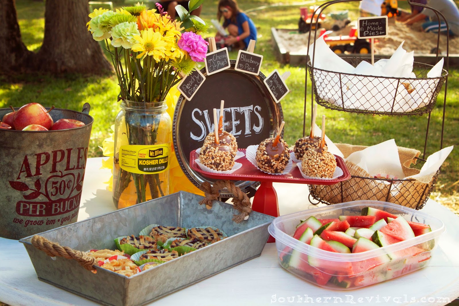 Our Country Fair Birthday Party - Southern Revivals