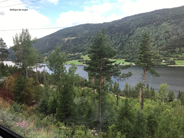 El viaje en tren más bonito del mundo