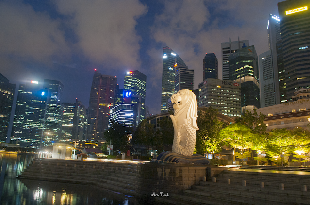Singapore photo tour with photographer