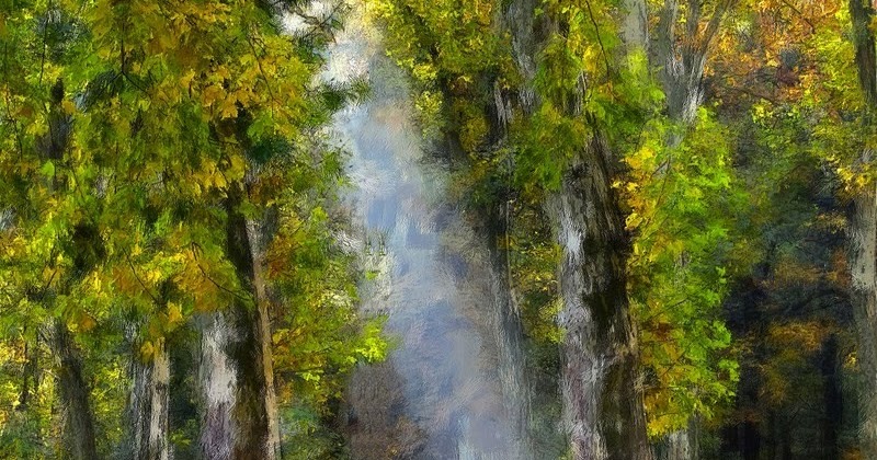 Karins Gedichte Blog Farben Der Natur