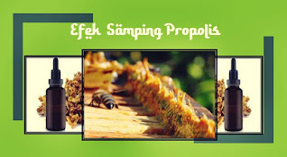 efek samping propolis