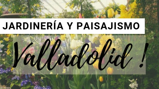 Comprar plantas online en Valladolid, España