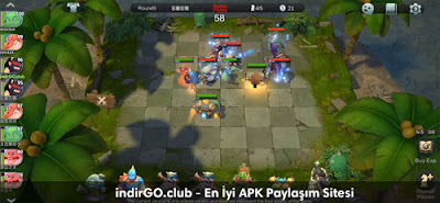 auto chess auto chess