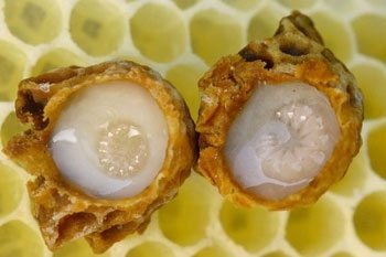 Benefits Of Royal Jelly