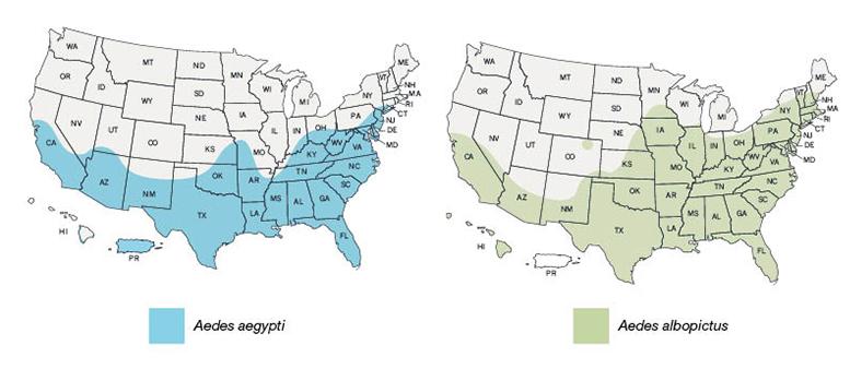 Avian Flu Diary CDC Updated Aedes - CDC%2BAedes%2BMaps%2Bsmall 