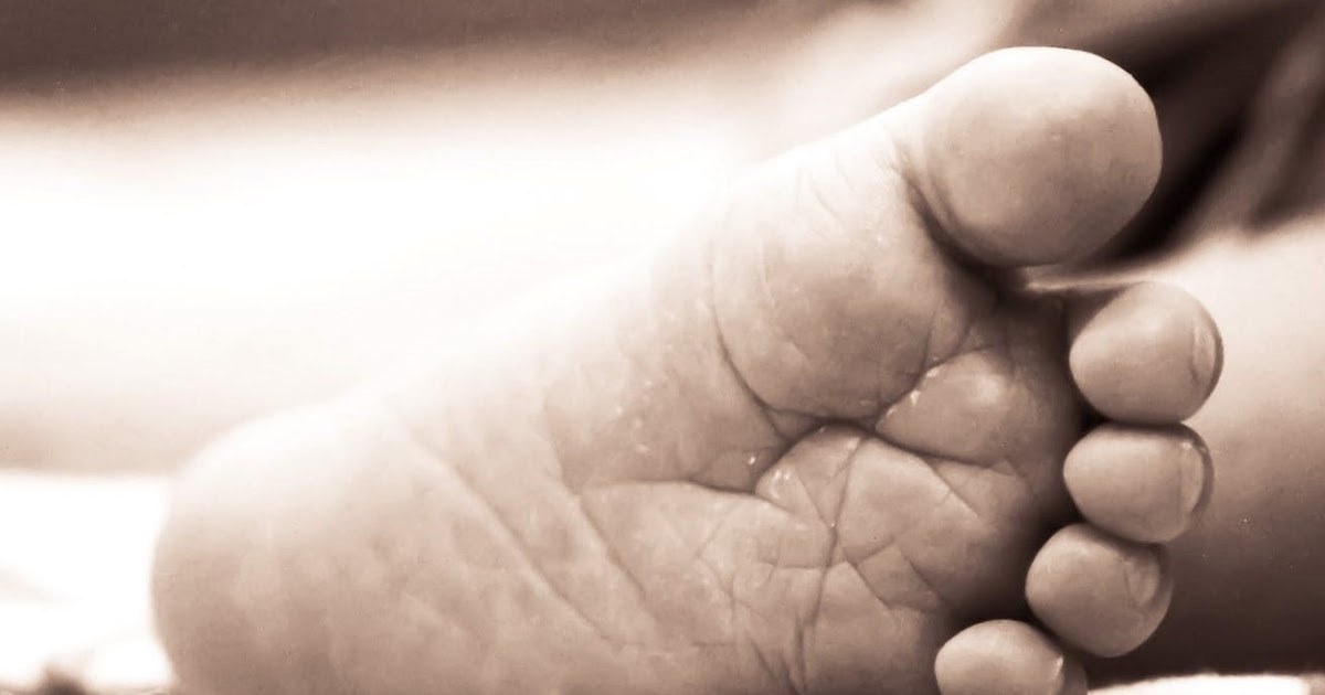 Animal source foods in ethical, sustainable & healthy diets