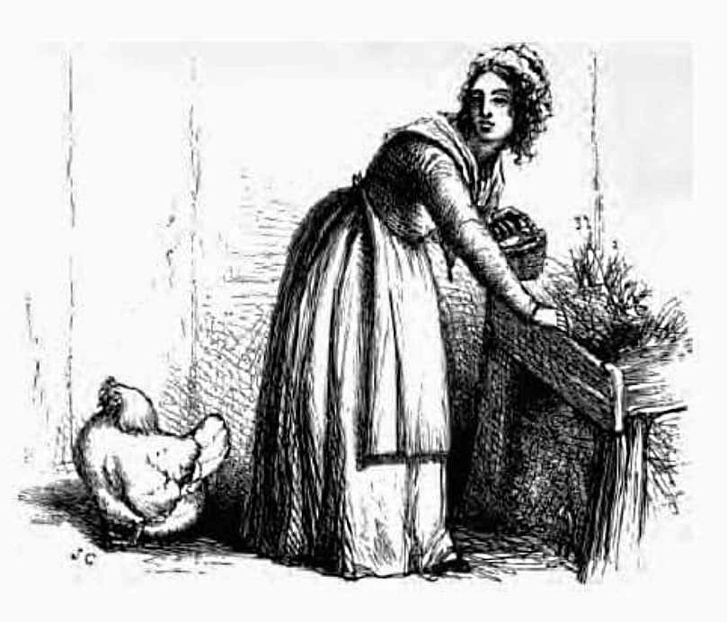 Die Frau und die Henne 2 Die Frau und die Henne Fabel Aesop 1