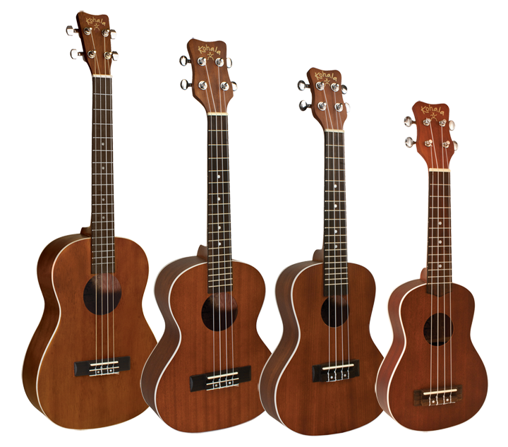 The Important Ukulele Guide For Newbies