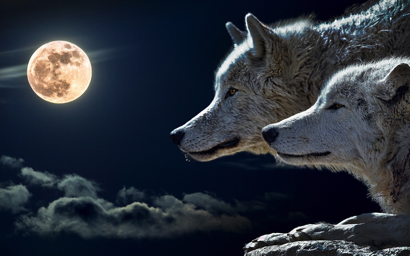 Wolf, 4K, 3840x2160, #14 Wallpaper