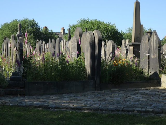 Dense cluster of graves with wild flowers growing on them, Lister Lane Cemetery, Halifax, West Yorkshire.