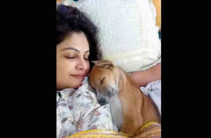 Mumbai: Actress Ayesha Julka Accuses House Caretaker Of Murdering Her Pet Dog, Pune, News, Bollywood, Actress, Complaint, Cinema, Lifestyle & Fashion, National.