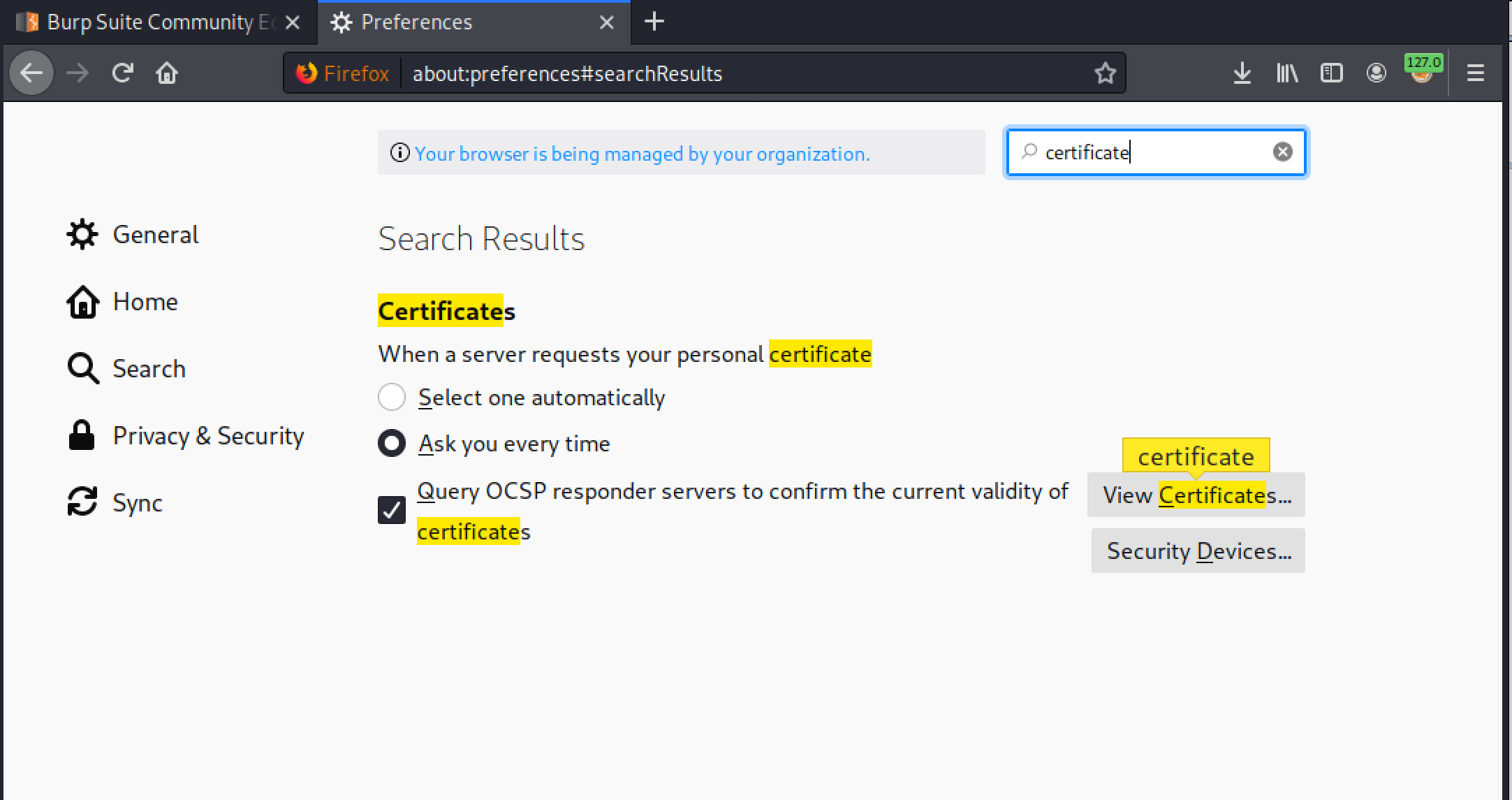 Install Burp #39 s CA Certificate in Firefox Guide for Burp Suite Install Burp #39 s CA Certificate in Firefox Guide for Burp Suite