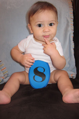 8 Months Old!