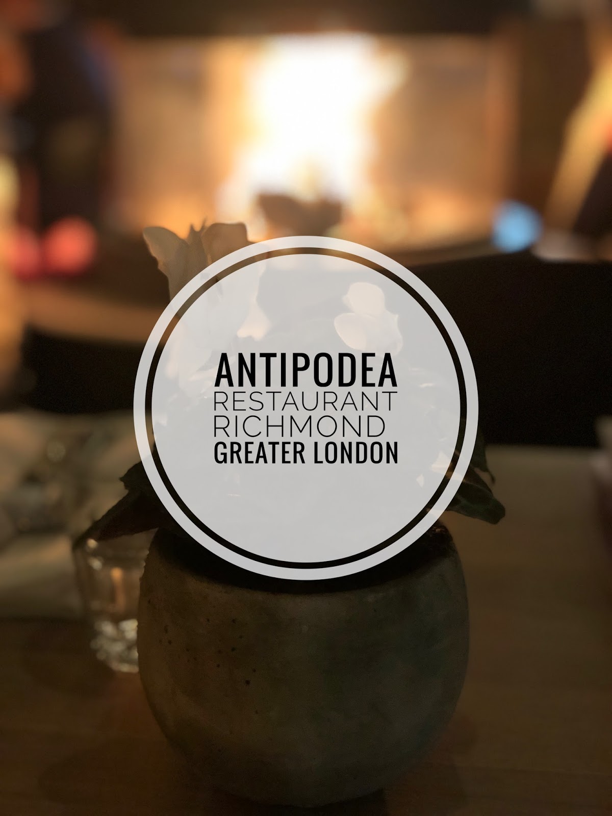 Antipodea Restaurant, Richmond