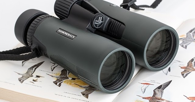 wirecutter binoculars