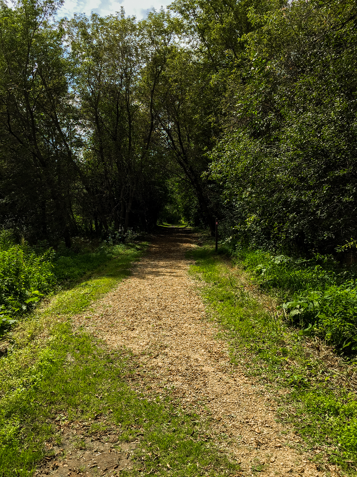 Burkhardt Trail at Willow River State Park