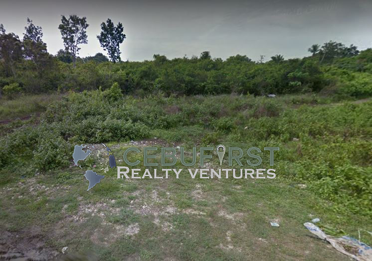 Lots For Sale in Bohol Philippines 500 sqm Titled Lot for Sale in Dao