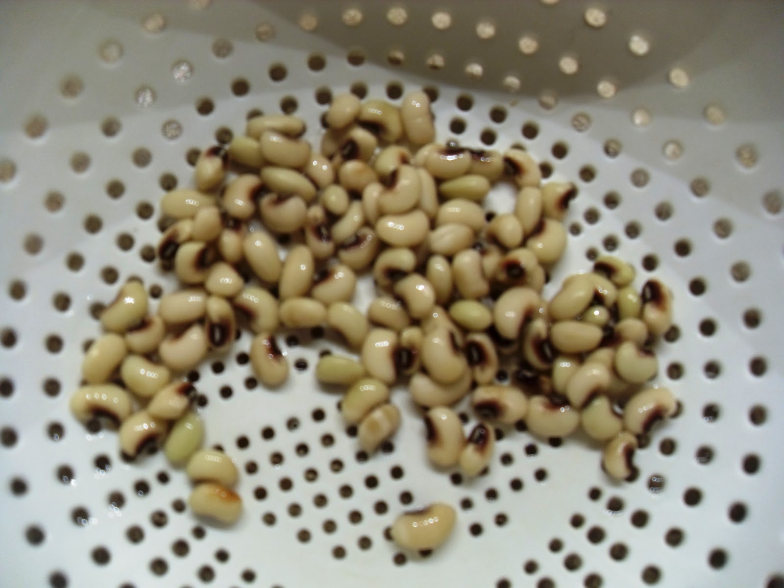 The Scientific Gardener Does Soil Inoculant really work?