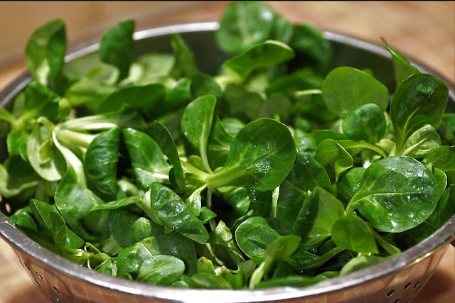 10 health benefits of spinach