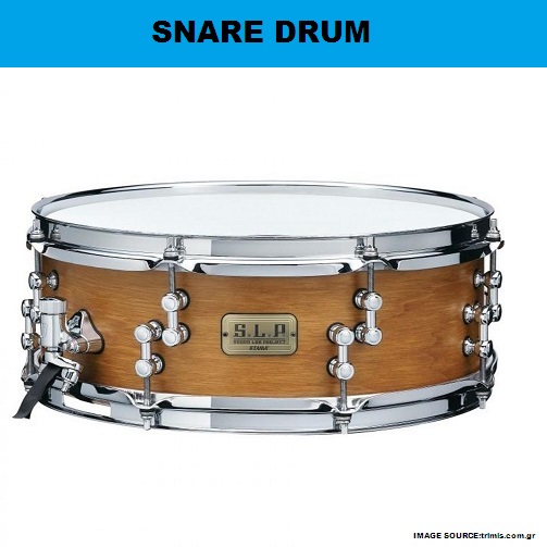My Homeworks PERCUSSION INSTRUMENTSNARE DRUM