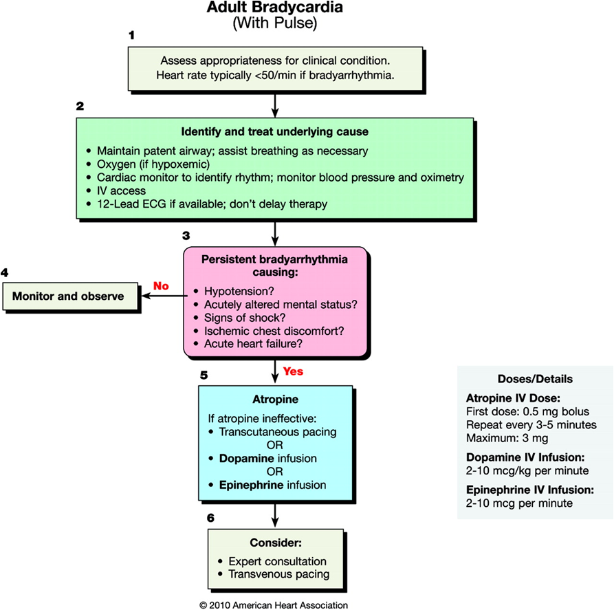 TENTANG JANTUNG: NEW ACLS 2010 AHA GUIDELINES