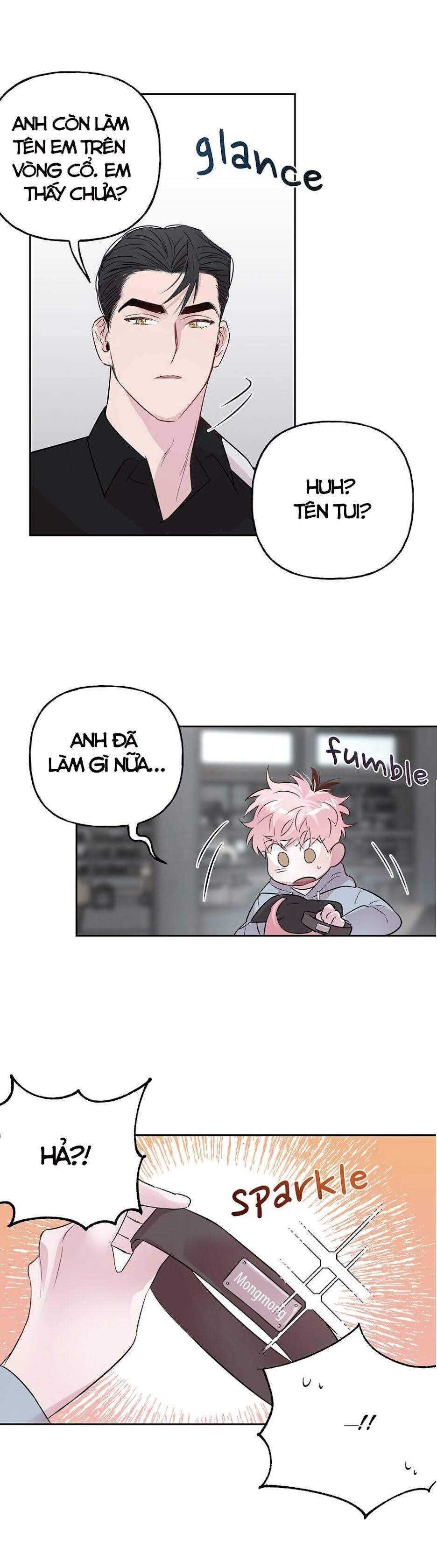 Đọc truyện Assorted Wildness - Chapter 24