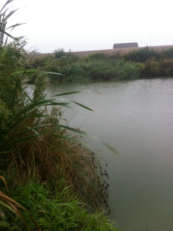 UK fishing venues Mushroom Ponds (Far Pond) Venue Review