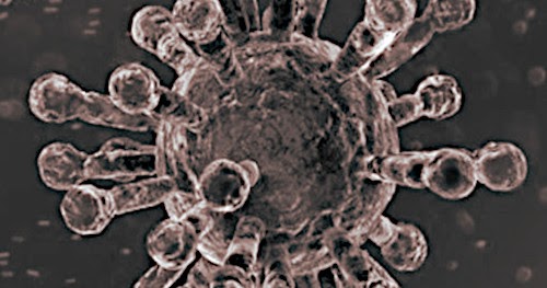 La musica ai tempi del COVIT19 jpg (500x263)