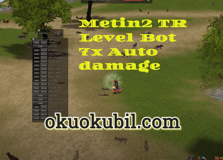 metin2 tr level bot 7x auto damage anti